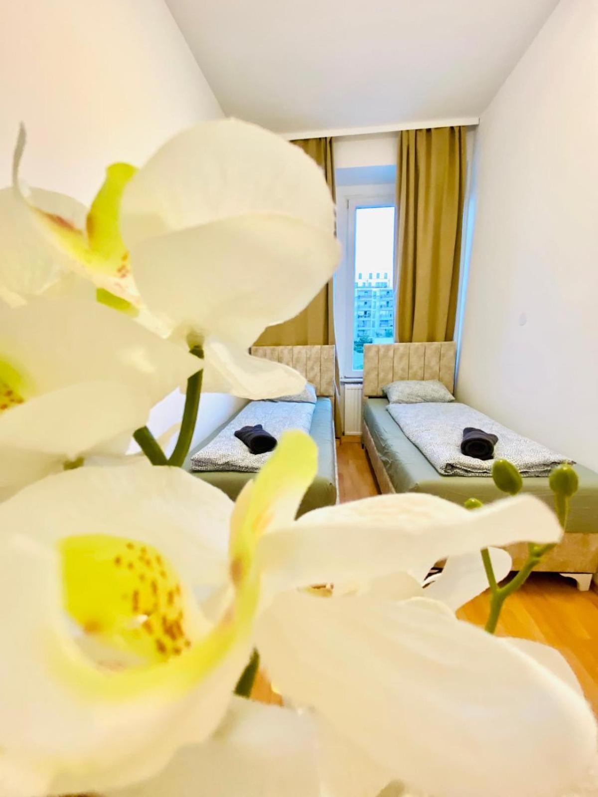 Bright 5Br Shared Apartment W Great Transport Link Vídeň Exteriér fotografie